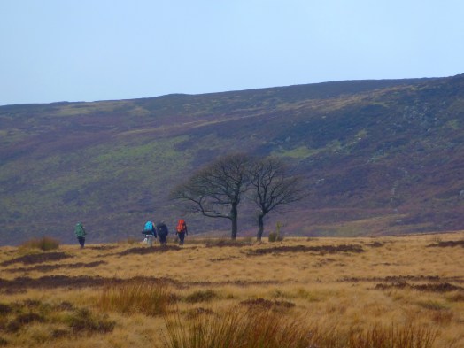 Navigating Up Crookstone Hill, Dark Peak, Peak District.