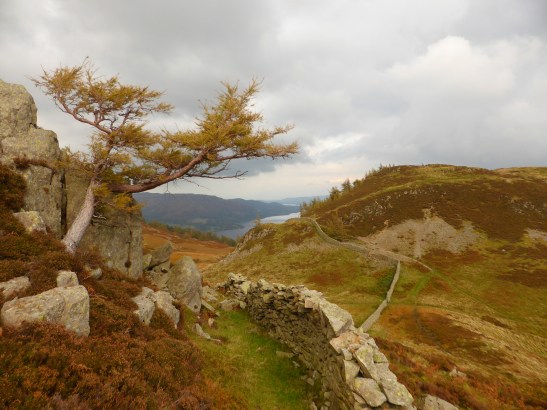 Descending Sheffield Pike