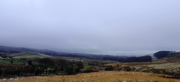 Smithills Woodland Trust Estate