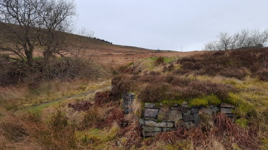burnt-edge-brickworks-02032017